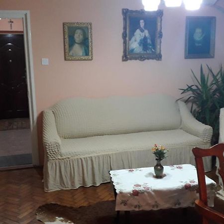 Cozy, Central 1-Bedroom Apartment In Timisoara, Romania Екстериор снимка