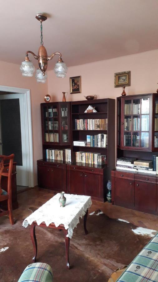 Cozy, Central 1-Bedroom Apartment In Timisoara, Romania Екстериор снимка