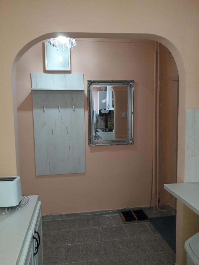 Cozy, Central 1-Bedroom Apartment In Timisoara, Romania Екстериор снимка