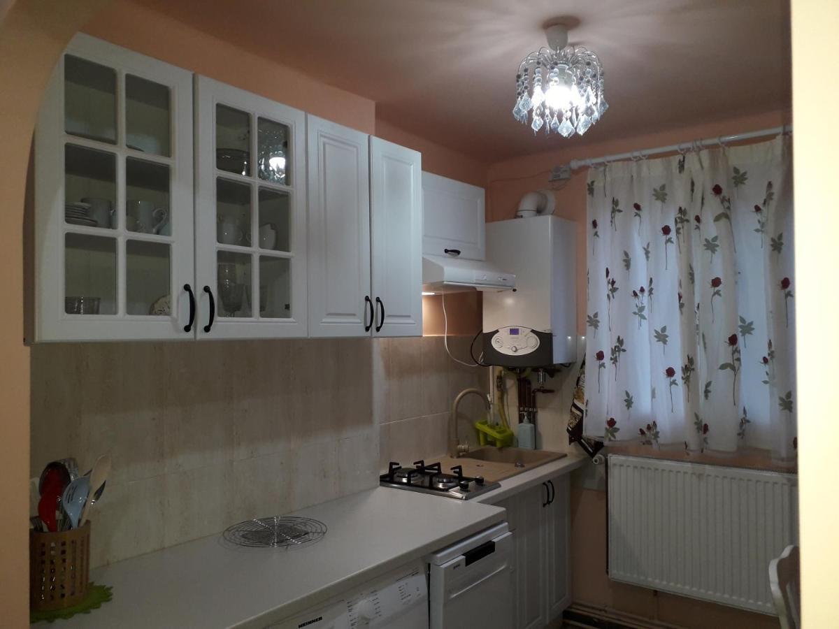 Cozy, Central 1-Bedroom Apartment In Timisoara, Romania Екстериор снимка