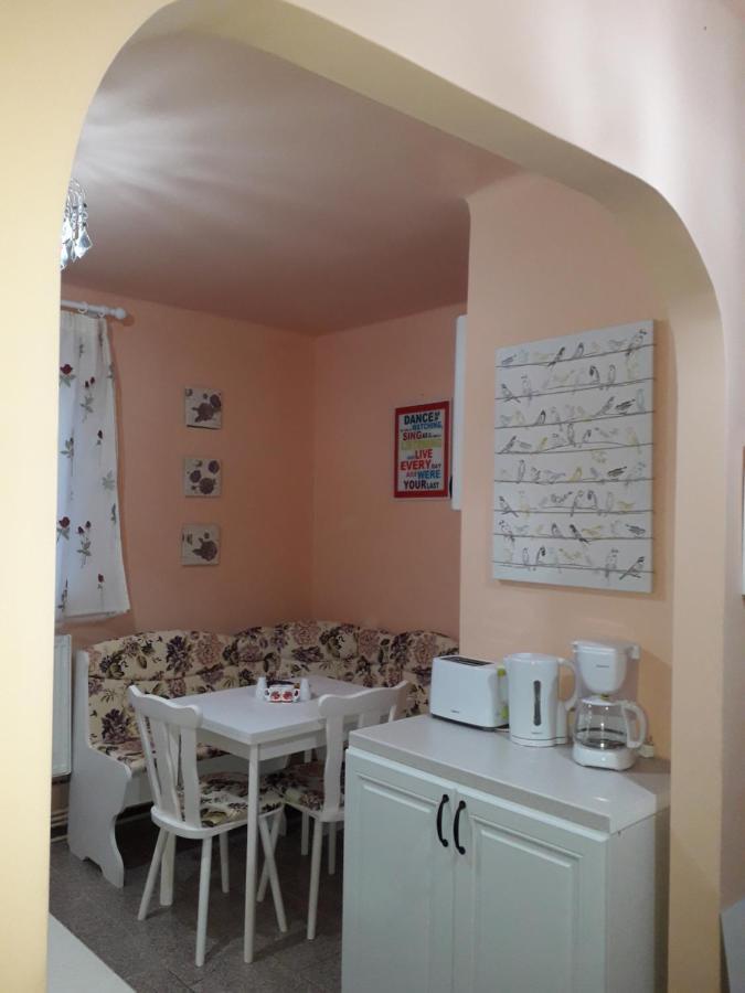 Cozy, Central 1-Bedroom Apartment In Timisoara, Romania Екстериор снимка