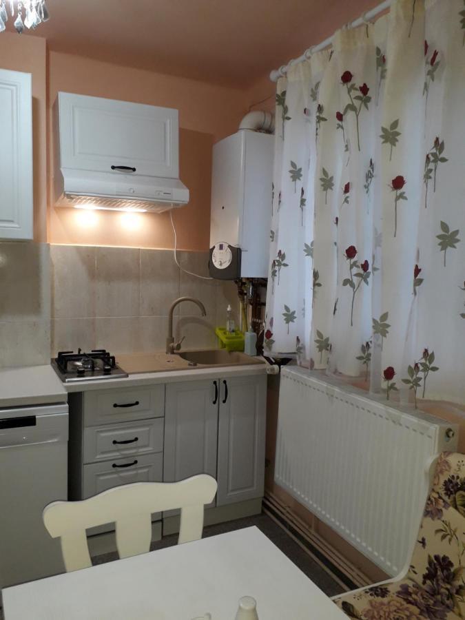 Cozy, Central 1-Bedroom Apartment In Timisoara, Romania Екстериор снимка