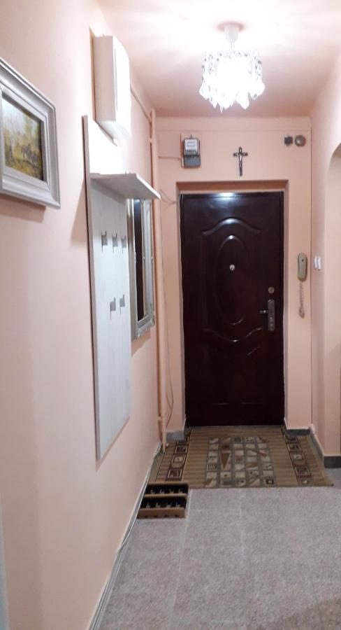 Cozy, Central 1-Bedroom Apartment In Timisoara, Romania Екстериор снимка