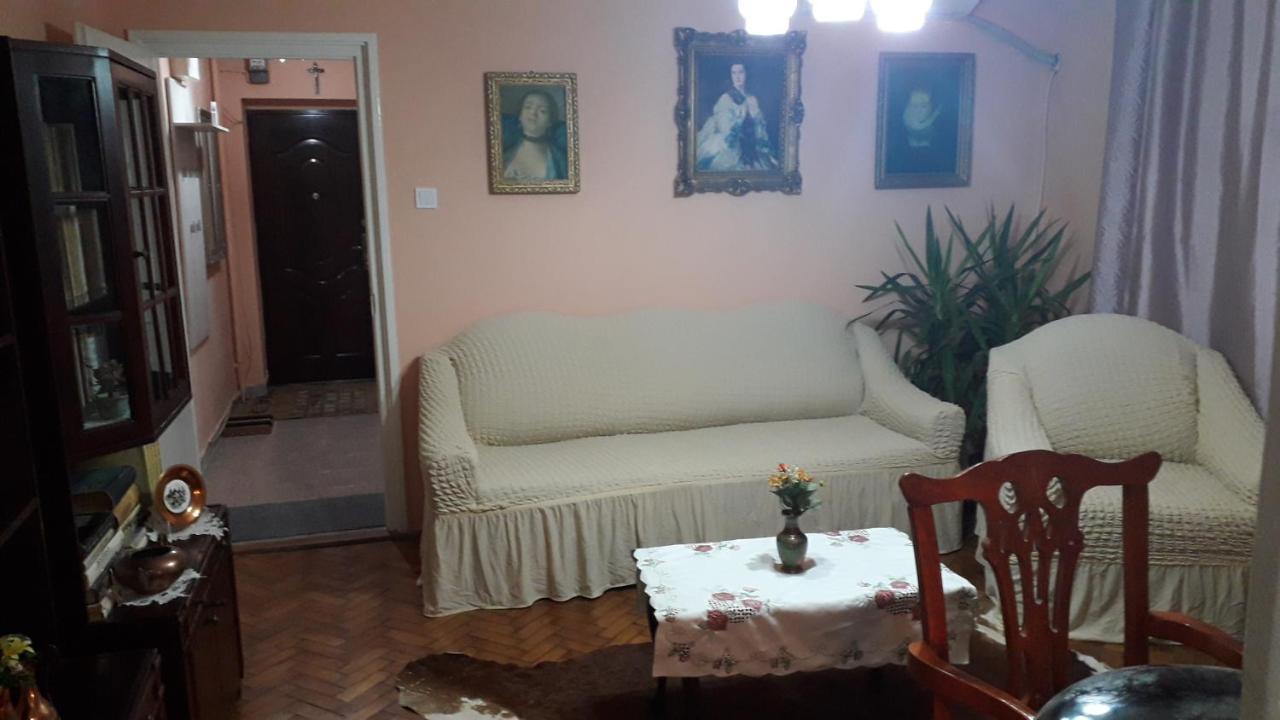Cozy, Central 1-Bedroom Apartment In Timisoara, Romania Екстериор снимка